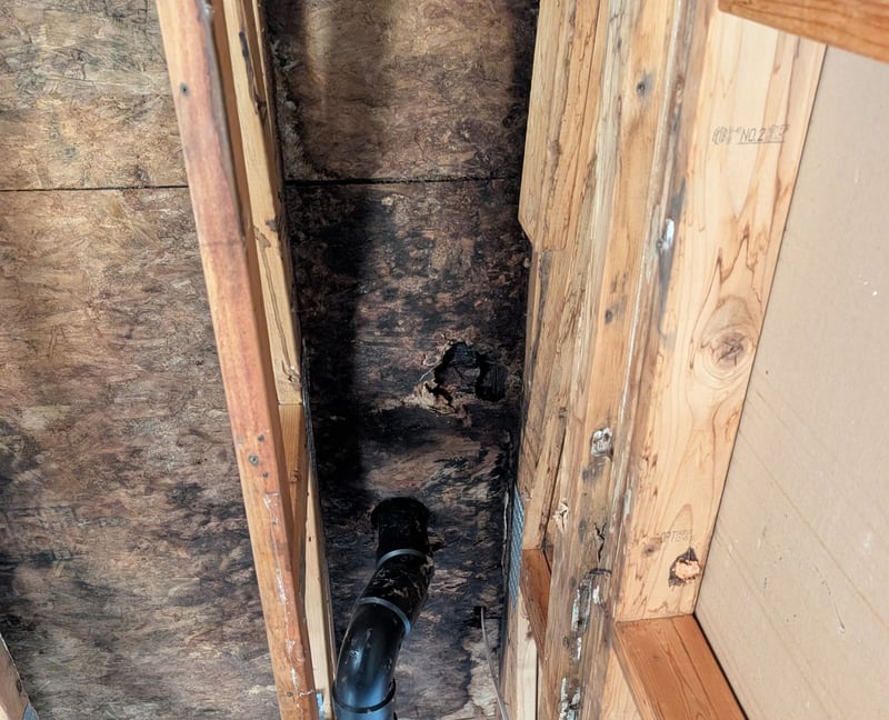 flat roof no insulation extreme rot