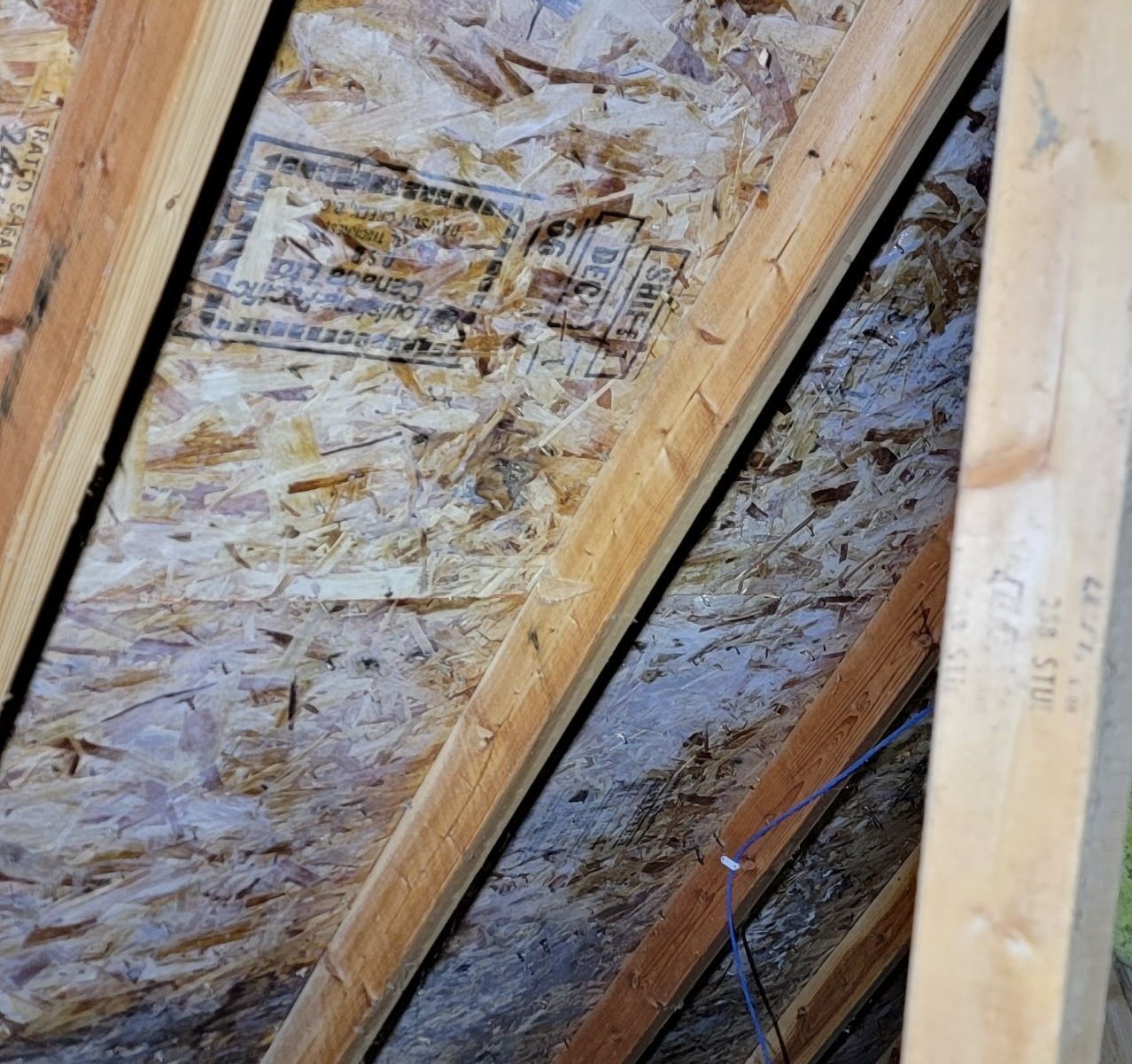 frost in attic causing damage
