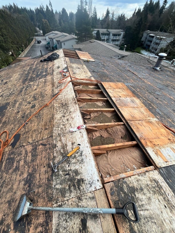 low slope rotting wood