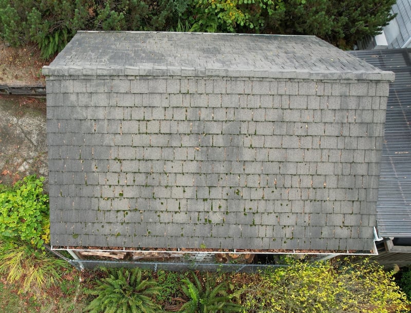 old tile roof with lots of moss
