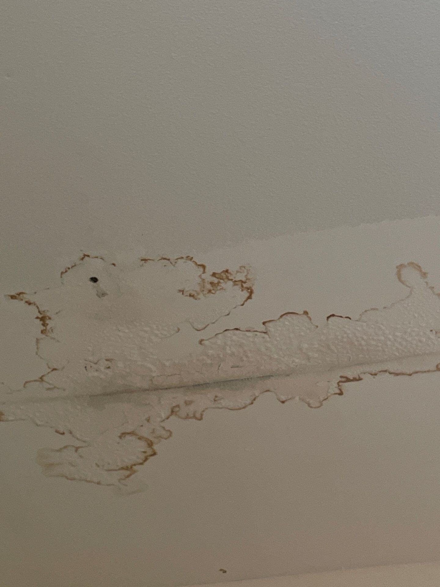 roof leak from poor installation