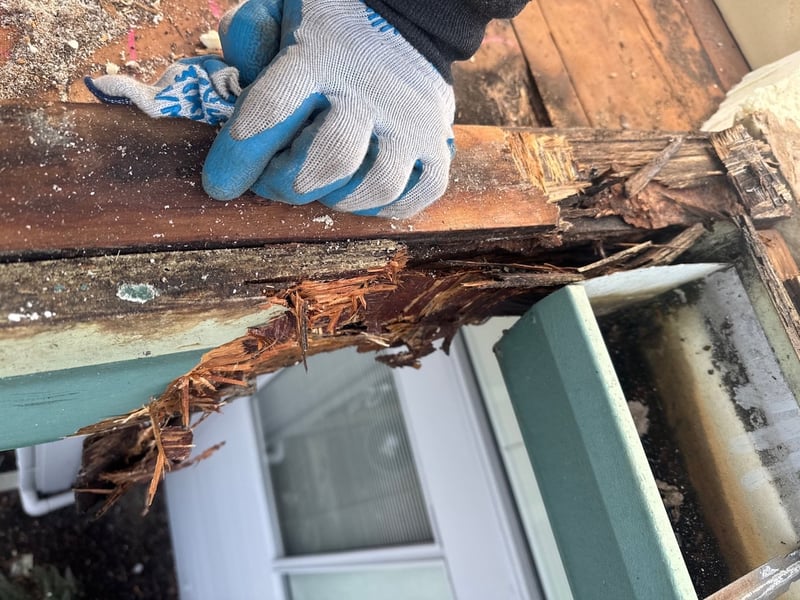 rot low slope roof