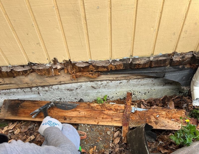 rotting siding