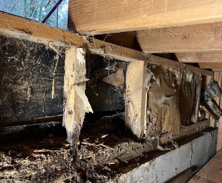 rotting wood underneath door frame