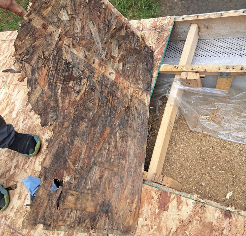 rotting, moldy plywood from a low slope roof