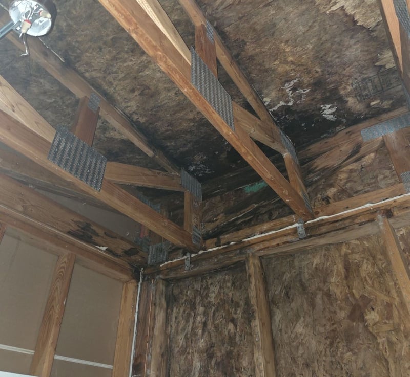 seattle townhouse rotting