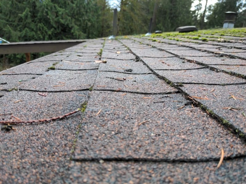 shingles cupping on low slope