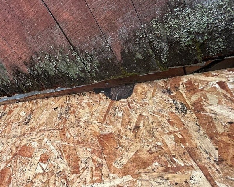 sidewall dry rot