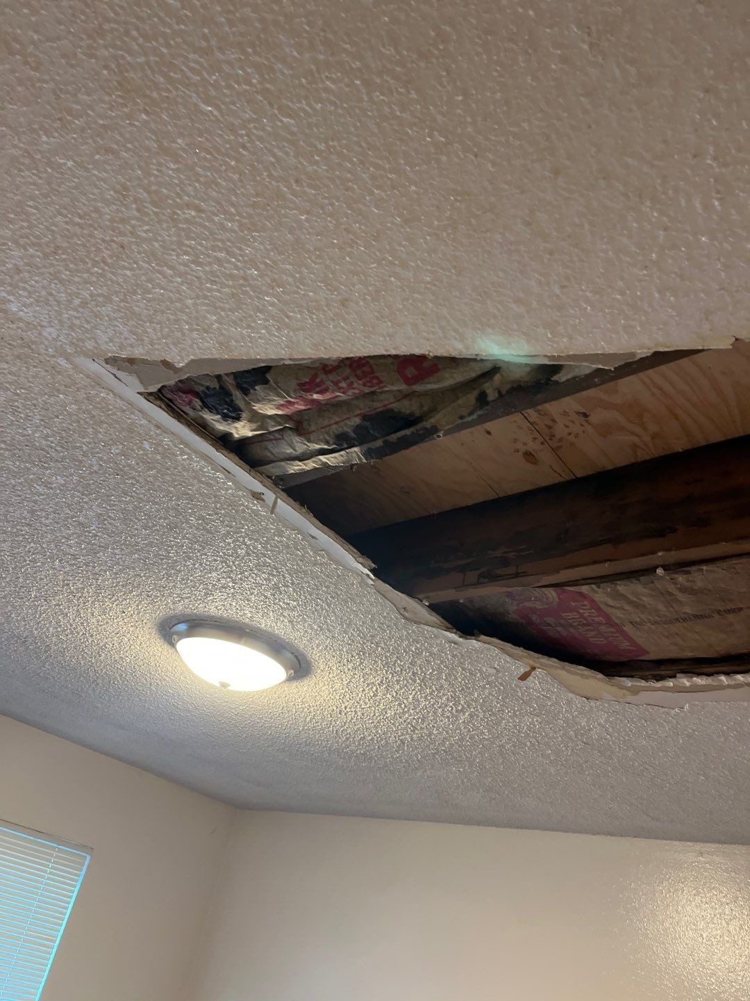 Textured hallway ceiling with a damaged section cut out after a roof leak, showing insulation and the roof framing above.