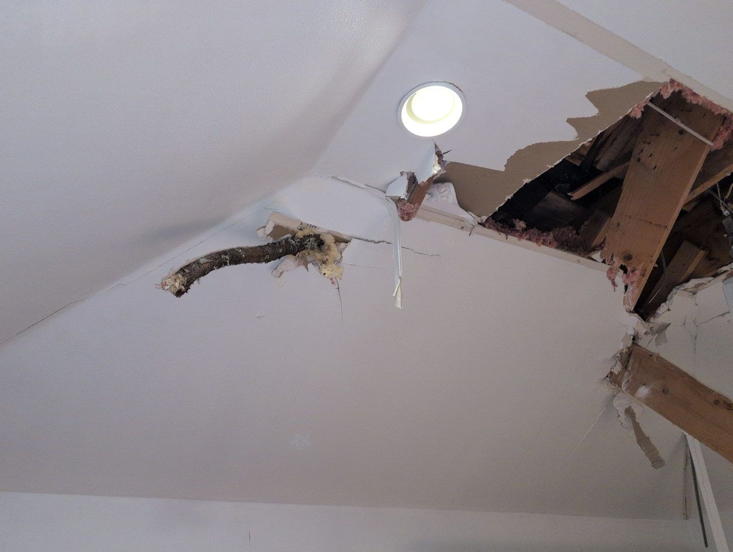 Tree branch broken through a vaulted bedroom ceiling after a storm, with torn drywall, insulation and cracked framing showing around the hole.