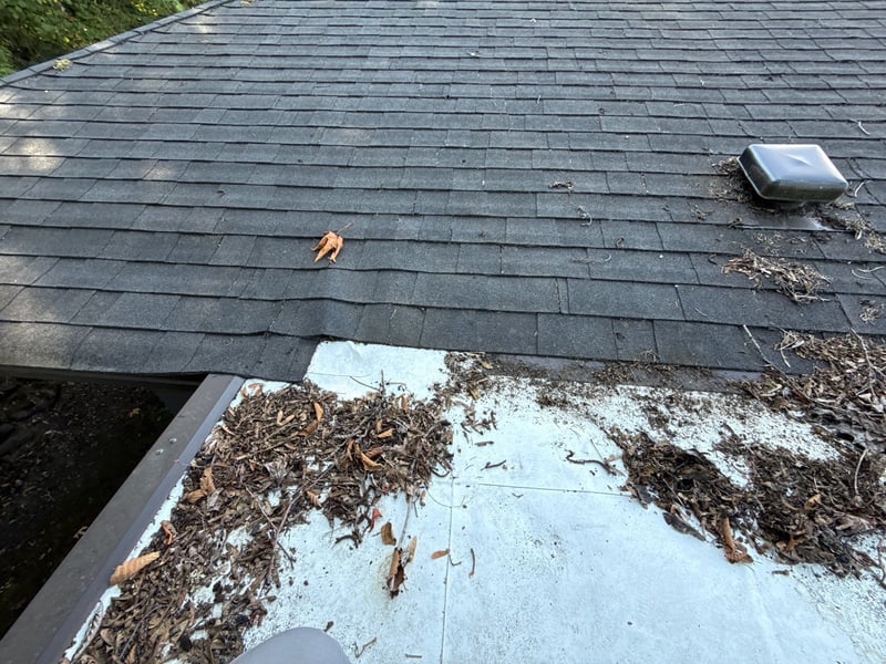 warped roof no ventilation