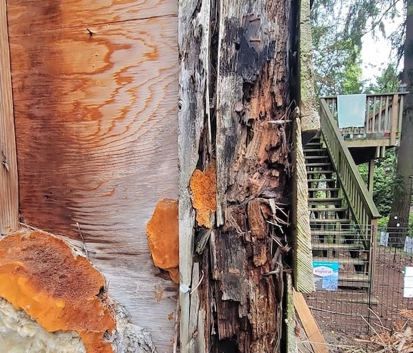 wood framing behind siding is completely rotten