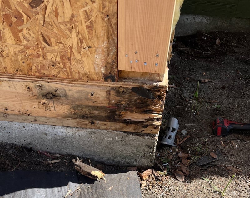 wood rot at base of house