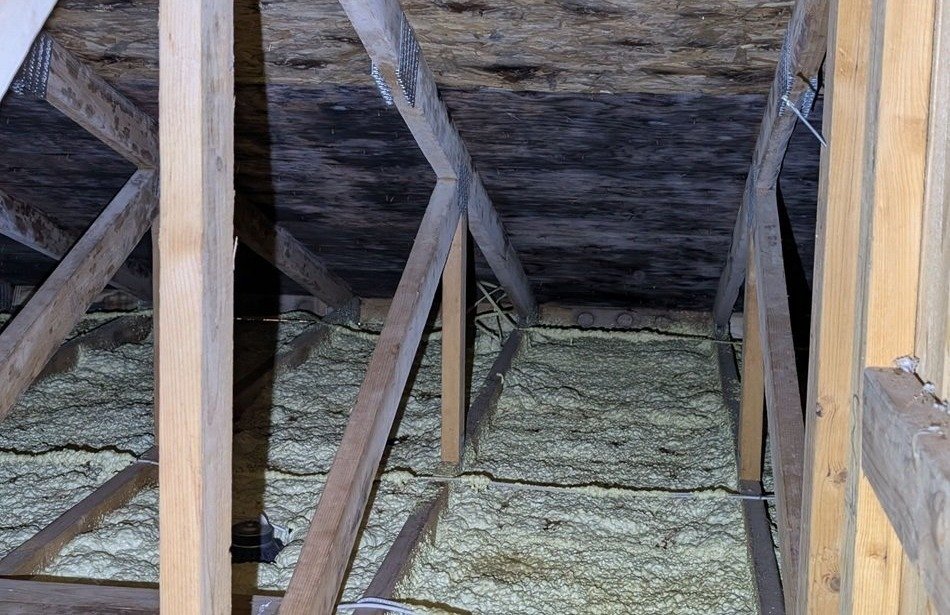 Roof sheathing with widespread dark spotting above trusses and insulation in an attic