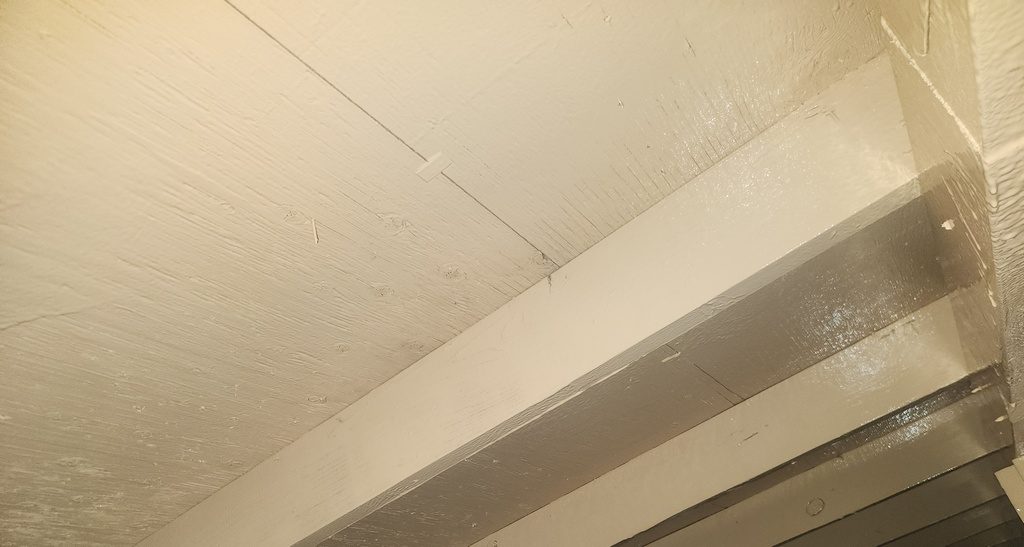 Roof boards and rafters coated with white encapsulant