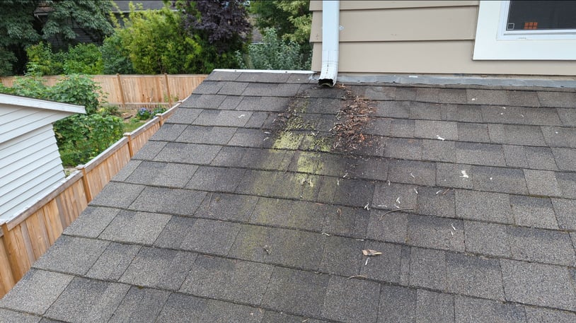 Concentrated Water from Downspouts 