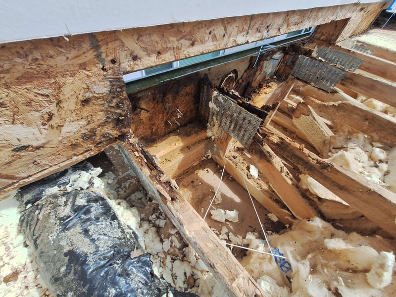 condensation rot