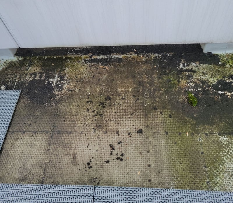 exposed membrane dirt and algae buildup