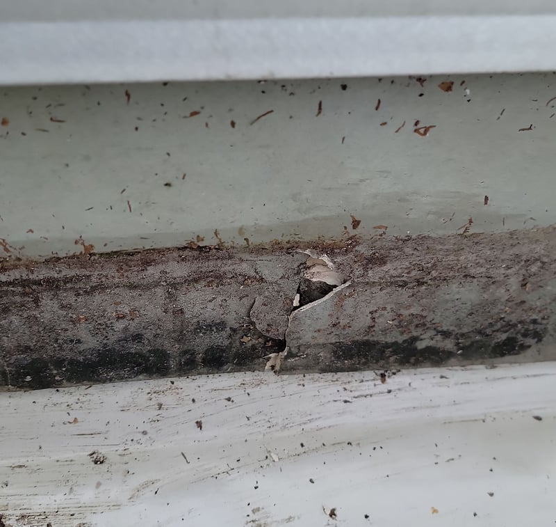 hardy plank rotting