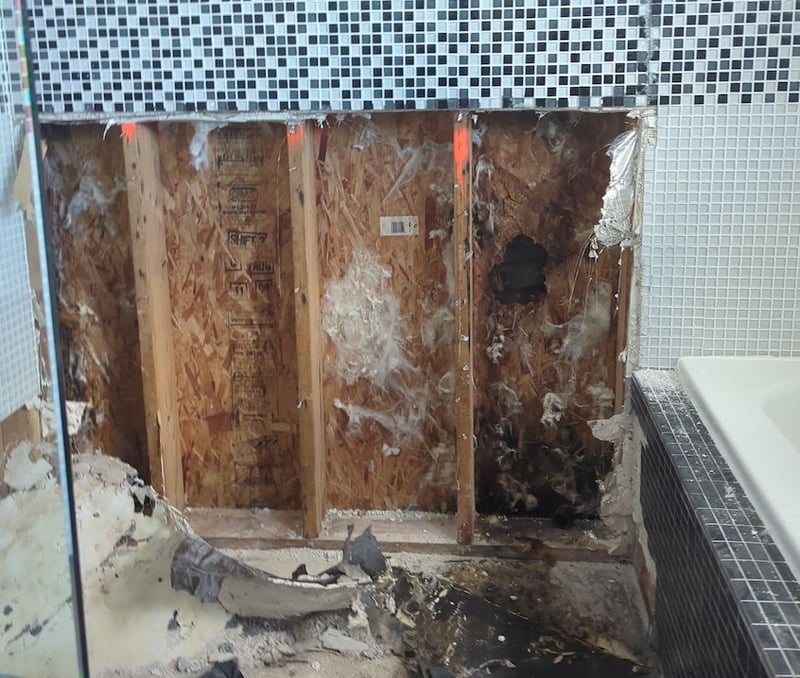 rotting wood in shower wall