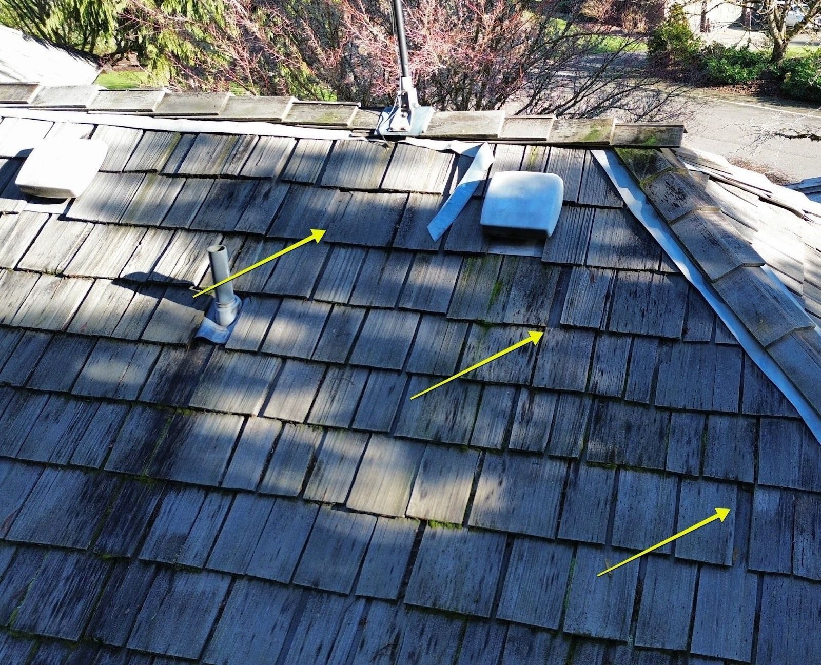 cedar shake roof failing