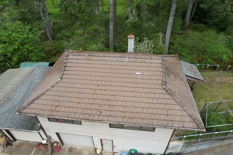 moss on old tile roof