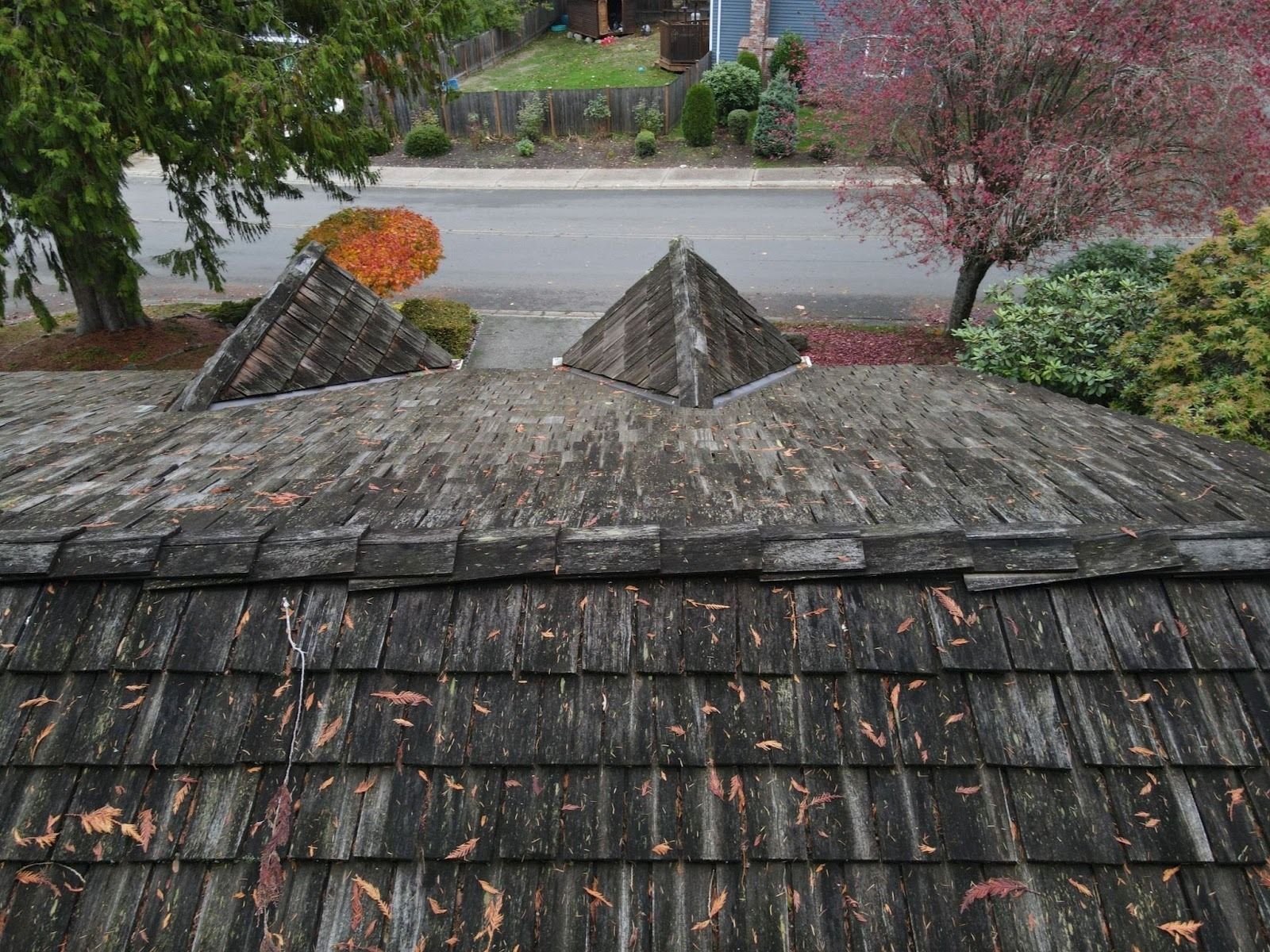 old wood shake roof with debris
