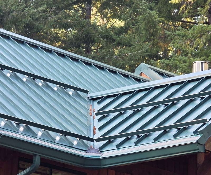 snowguards on roof