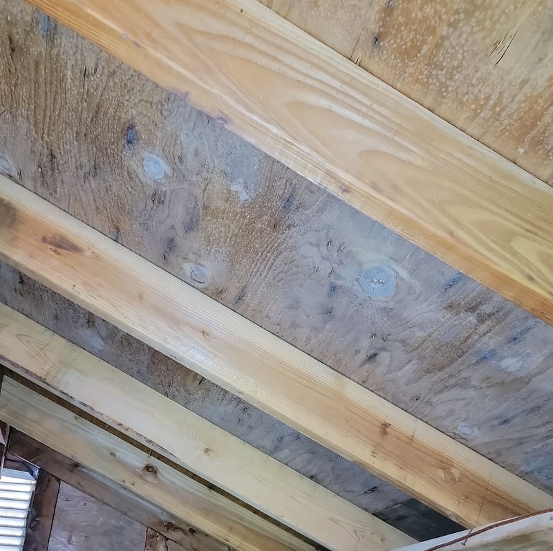 mold from poor airflow and blocked soffits