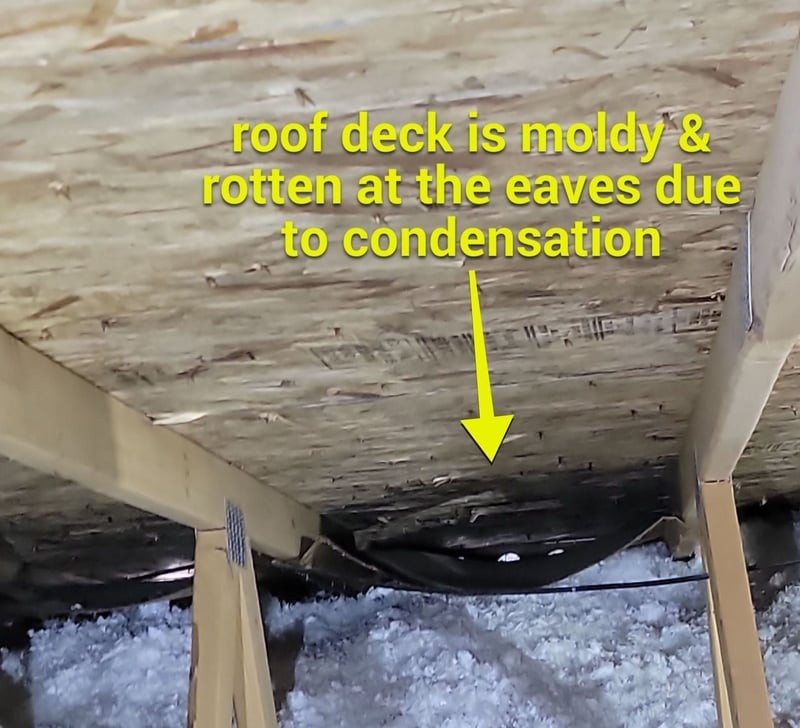 moldy and rooten roof deck at eaves