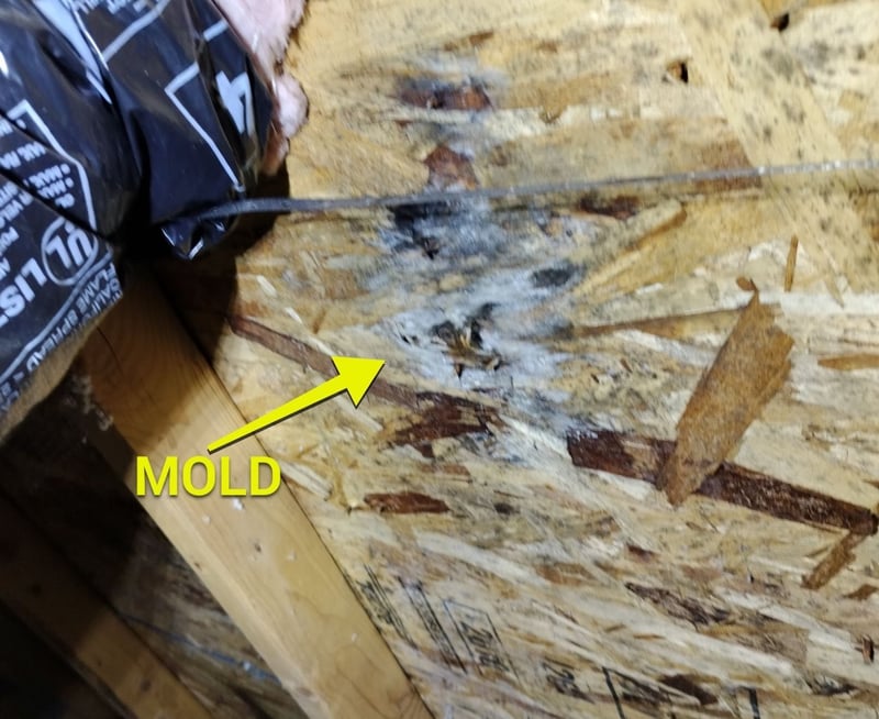 moldy attic apartment building