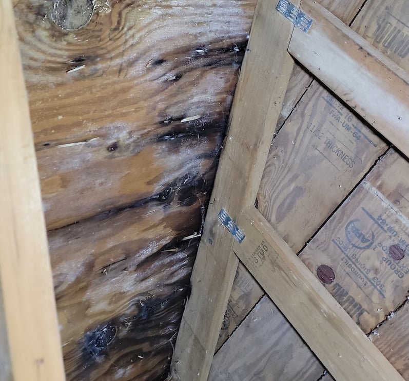 moldy attic from short-circutting ventilation