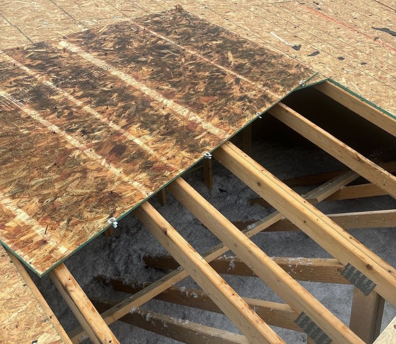 moldy rotten plywood