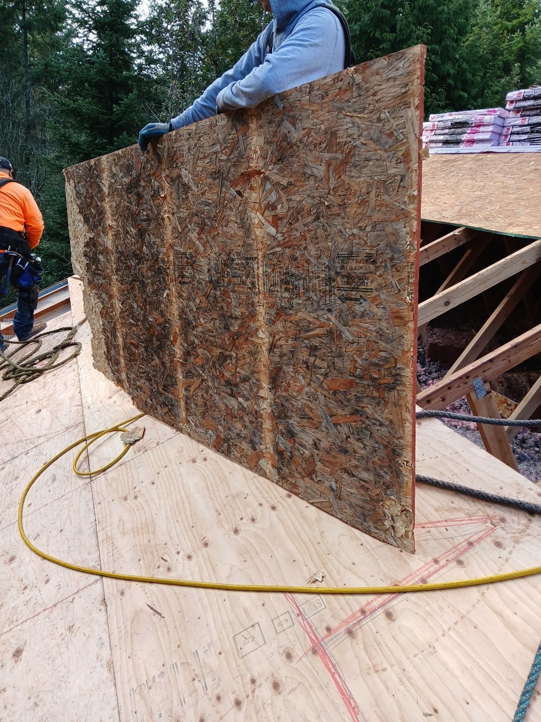 moldy, rotting plywood