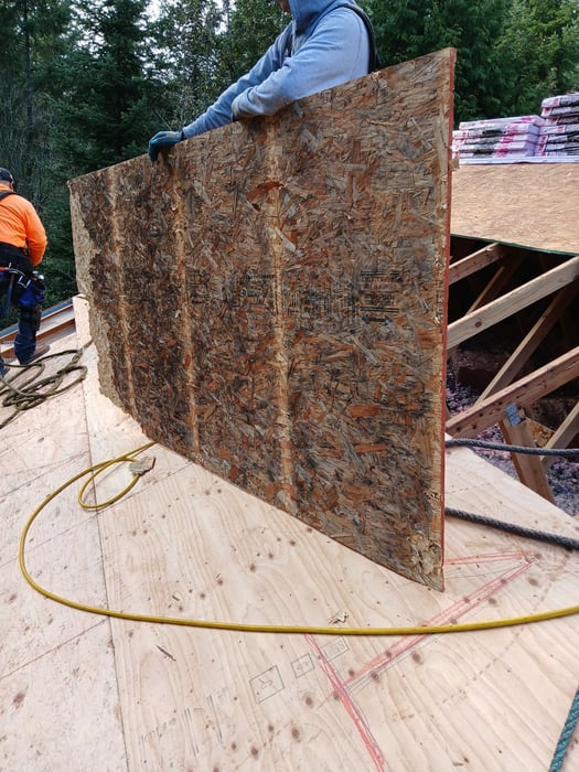 moldy, rotting plywood