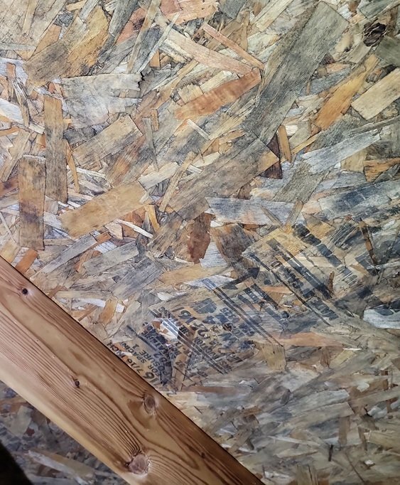 roof mold bad
