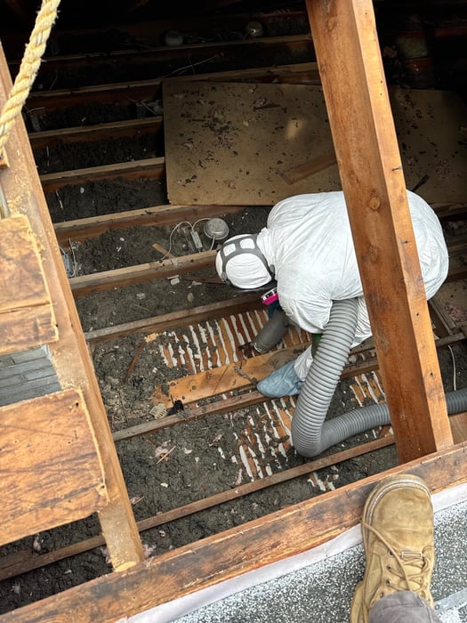 roofer removing the mold