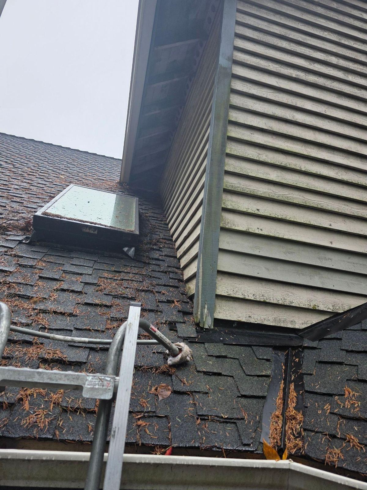 Lower roof below a second-story wall with a skylight and no downspout, with pine needles on the shingles