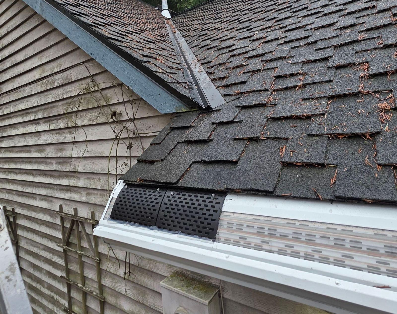Black valley controller insert where a roof valley meets a new white gutter with MasterShield micromesh