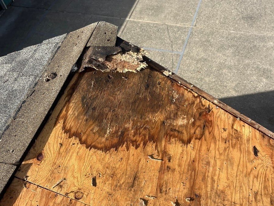 Enumclaw: water stained plywood on the roof deck after tear-off.