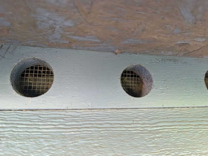 Round bird block vents under a roof eave, each with its wire screen still intact.