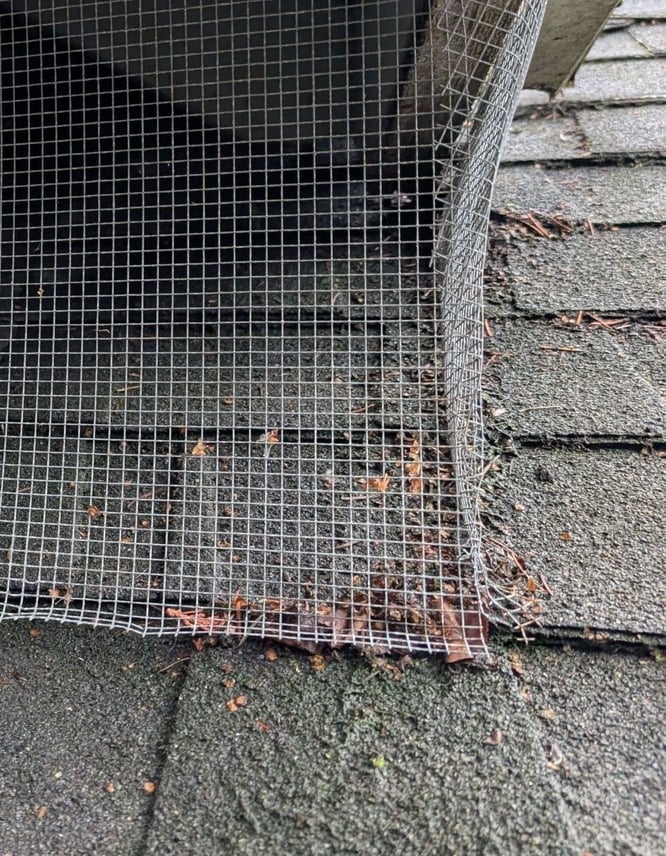 Close-up of the same wire mesh, where a loose, curled edge leaves a gap at the corner.
