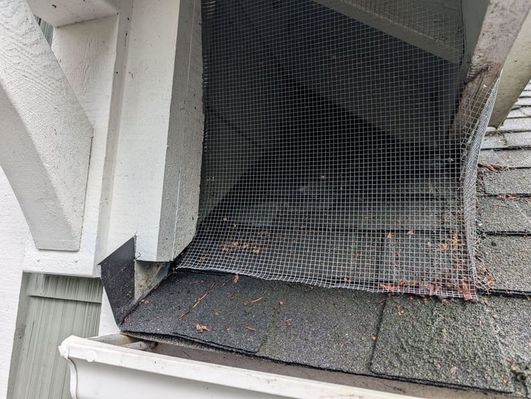 Wire mesh covering the opening under a hanging eave, just above the lower roof and gutter.