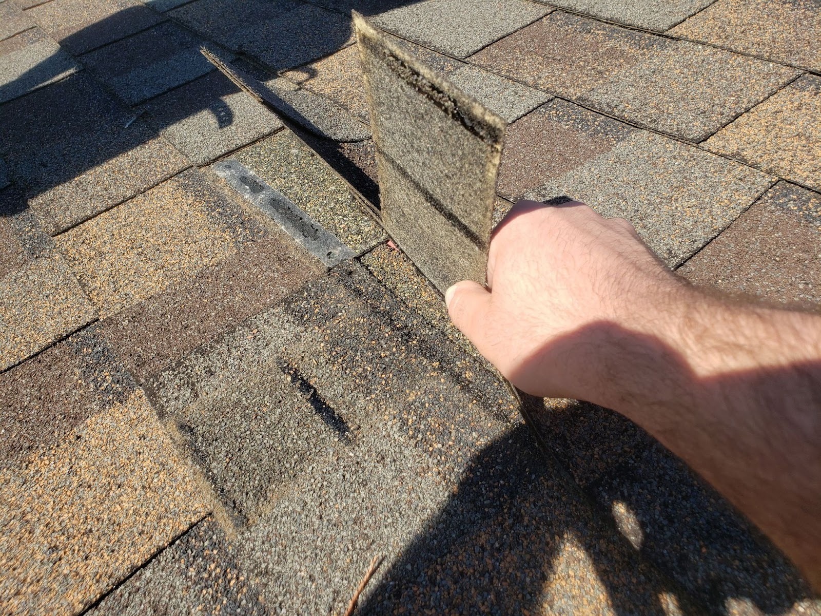 undefined-Feb-16-2026-07-46-09-0356-PM