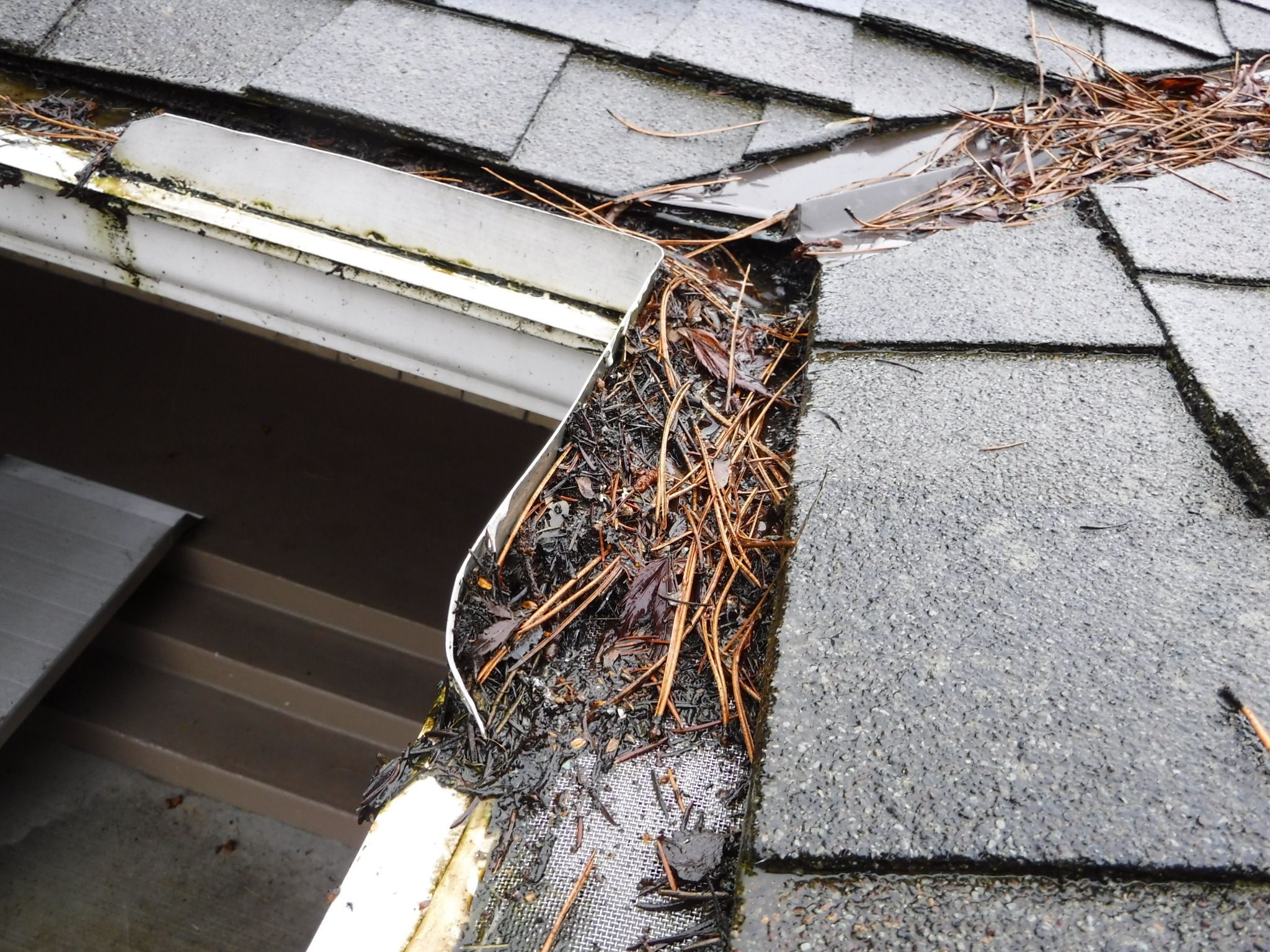 Photo inspiration: Fresh Look at Why Do Most Gutter Guards Fail In Seattle And What